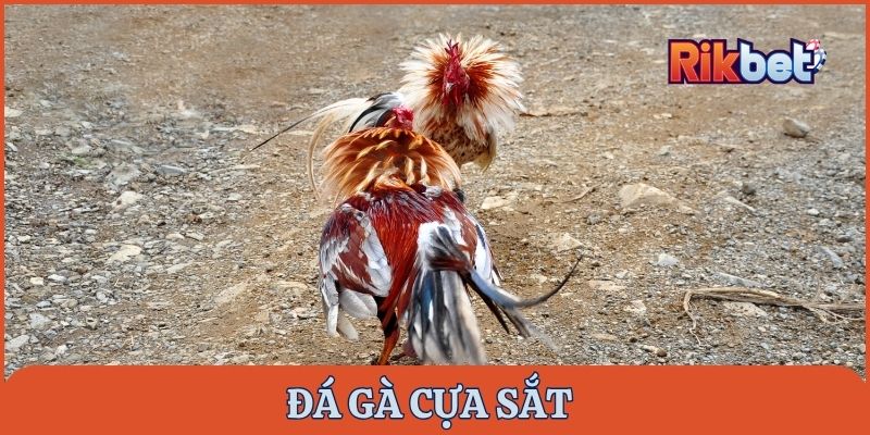 da-ga-cua-sat