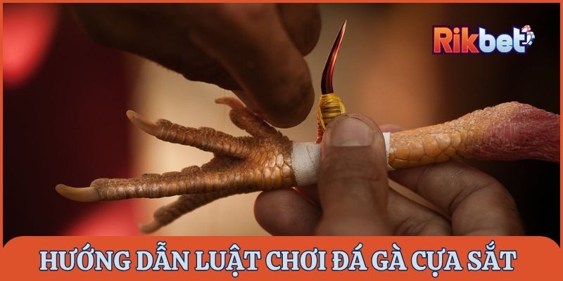 Hướng dẫn luật chơi đá gà cựa sắt